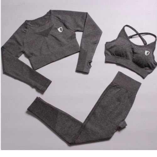 Command 1.0 Seamless Long Sleeve: Grey - Authority Fitness