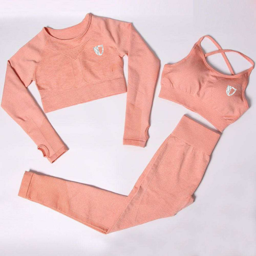 Command 1.0 Seamless Longsleeve: Peach - Authority Fitness